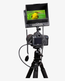 Camera On Tripod Png, Transparent Png, Transparent PNG