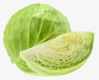 Green Cabbage, HD Png Download, Transparent PNG