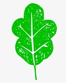 Plant,leaf,tree - Illustration, HD Png Download, Transparent PNG