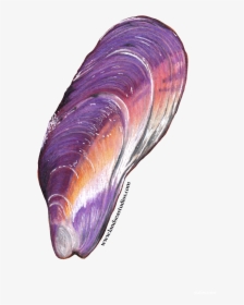 Insect, HD Png Download, Transparent PNG