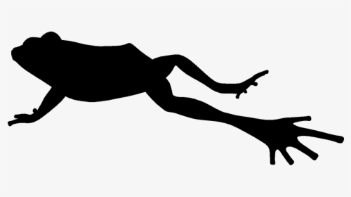 Silhouette Of Jumping Frog - Jumping Frog Silhouette, HD Png Download, Transparent PNG