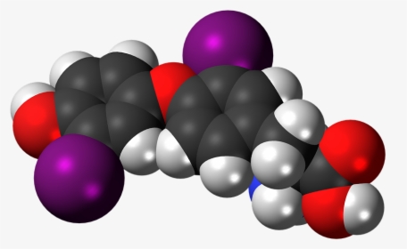 Diiodothyronine, Molecule, Chemistry, Atoms, Model - Tyrosine En 3d, HD Png Download, Transparent PNG