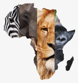 East Africa Located, HD Png Download, Transparent PNG