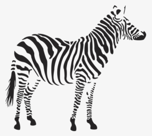 Zebra Clipart Png 4 - Zebra Stencil, Transparent Png, Transparent PNG