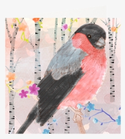 Postcard Drawing Watercolor Paint - Rose Breasted Grosbeak, HD Png Download, Transparent PNG