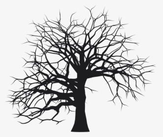 Tree Without Leaves Silhouette Png, Transparent Png, Transparent PNG
