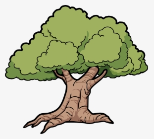 Free To Use Public - Oak Tree Clipart, HD Png Download, Transparent PNG