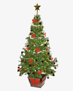 Christmas Tree Free Png Transparent Background Images - Small Christmas Tree With Lights And Decorations, Png Download, Transparent PNG