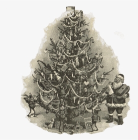 Royalty Free Antique Christmas Tree Illustration Via - Christmas Tree Illustration Vintage, HD Png Download, Transparent PNG