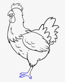 Chicken Drawing Beautiful Image - Chicken Drawing Easy, HD Png Download, Transparent PNG