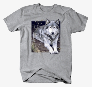 Grey Wolf Sitting On Wilderness Ground Staring Custom - Puppy, HD Png ...