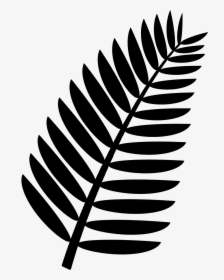 Palm Leaf Clipart Black And White, HD Png Download, Transparent PNG