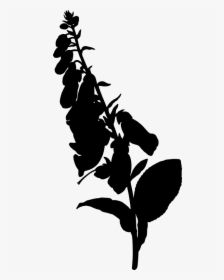 Foxglove Silhouette, HD Png Download, Transparent PNG