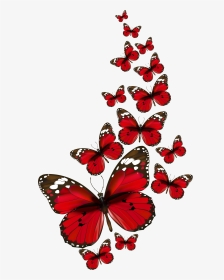 Transparent Background Red Butterfly, HD Png Download, Transparent PNG