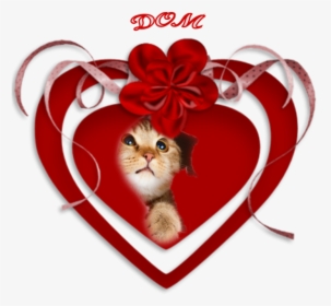 Husband Love Romance Wife Clip Art - Kitten, HD Png Download, Transparent PNG