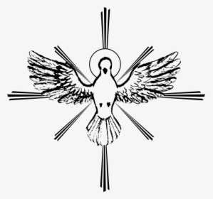 Espíritu Santo, Paloma De La Paz, Sketch, Vector, Aves - Simbolo Espirito Santo Png, Transparent Png, Transparent PNG