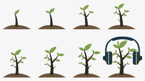 Grow Up Plant, HD Png Download, Transparent PNG