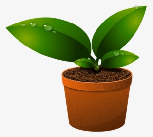 Green Leaves, Plants, Growth, Foliage, Vase, Vegetation - Components Of Ecosystem In Hindi, HD Png Download, Transparent PNG