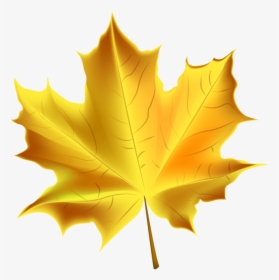 Banner Free Beautiful Yellow Autumn Transparent - Clip Art Transparent Fall Leaf, HD Png Download, Transparent PNG
