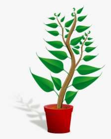 Seedling, Potted Plant, Sapling, Plant, Growing, Growth - Getting To Know Plants, HD Png Download, Transparent PNG