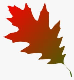 Banner Freeuse Autumn Leaf Clipart - Red Oak Leaf Clip Art, HD Png Download, Transparent PNG