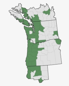 Pacific Nw Map Of Evergreen Trees, HD Png Download, Transparent PNG