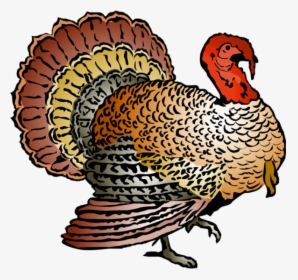 Free Turkey Clip Art - Thanksgiving Turkey Clipart Free, HD Png Download, Transparent PNG