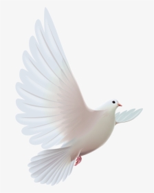 Pigeon Clipart Paloma - Pomba Espirito Santo Png, Transparent Png, Transparent PNG