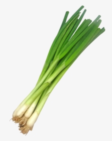 Scallion Scallions Ramp Free Picture - Spring Onion Transparent, HD Png Download, Transparent PNG