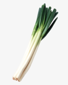Green Onions Png Svg Freeuse Library - Green Onions Transparent Background, Png Download, Transparent PNG