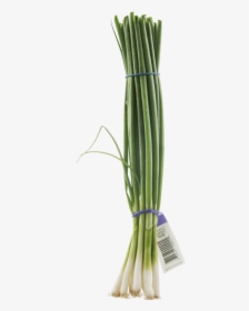 Clip Art Fresh Bunch Prestofresh Grocery - 1 Bunch Green Onions, HD Png Download, Transparent PNG