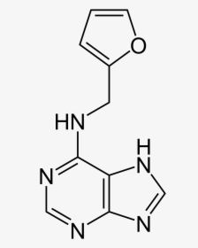 Chemical Structure Of Kinetin, A Plant Growth Hormone - Purine, HD Png Download, Transparent PNG
