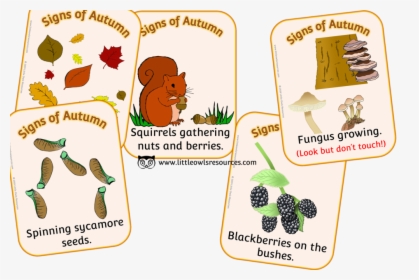 ‘signs Of Autumn’, HD Png Download, Transparent PNG