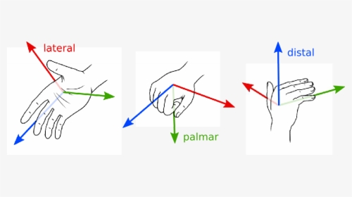 A Different Description Of Orientation In Sign Languages - Graphic Design, HD Png Download, Transparent PNG