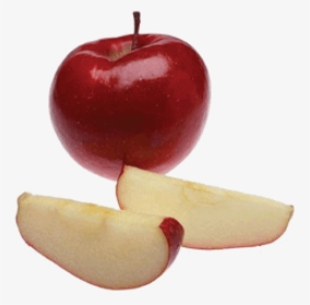 Apple Slices - Benefits Of Apples For Dogs, HD Png Download, Transparent PNG