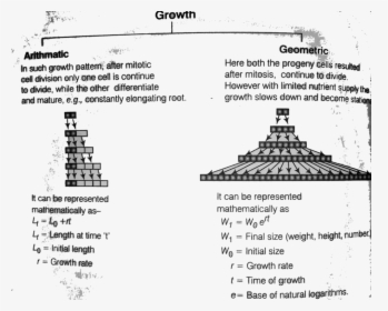 Growth Rate And Types Of Growth Rate In Plants - Geometric Growth In Plants, HD Png Download, Transparent PNG