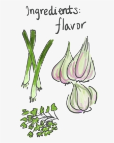 Transparent Green Onion Png - Green Onion Draw, Png Download, Transparent PNG