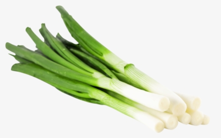 Spring Onion In German, HD Png Download, Transparent PNG