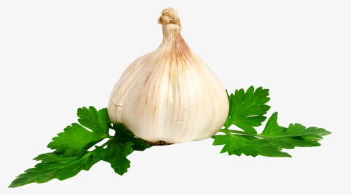Garlic Png Image, Transparent Png, Transparent PNG
