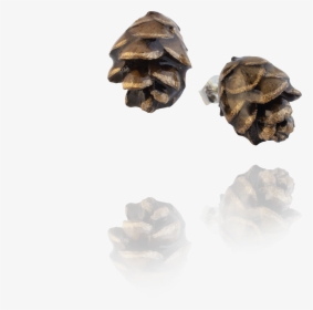 Transparent Pinecones Png - Western Yellow Pine, Png Download, Transparent PNG