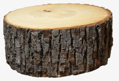 Log Png Image - Wooden Log Png, Transparent Png, Transparent PNG