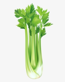 Green Onion And Celery , Png Download - Celery Clipart Png, Transparent Png, Transparent PNG