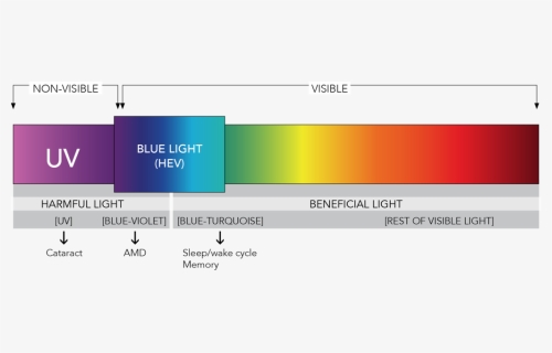 Blue Light Spectrum - Light Spectrum Blue Light, HD Png Download, Transparent PNG