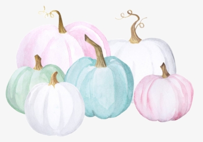 #watercolor #pumpkins #pastel #teal #turquoise #blue - White Painted Pumpkin Watercolor, HD Png Download, Transparent PNG