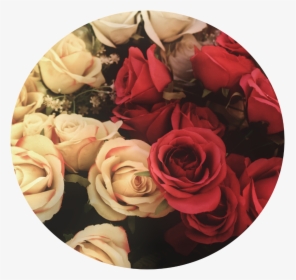#flower #flores #rosas #fondo #tumblr - Valentines Day Wallpaper 2020, HD Png Download, Transparent PNG