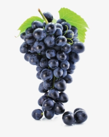 Grapes Free Png - Grapes Png, Transparent Png, Transparent PNG