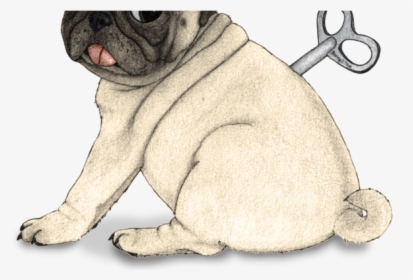 Thumb Image - Dibujo Pug Png, Transparent Png, Transparent PNG