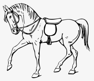 Outline Images Of Horse, HD Png Download, Transparent PNG