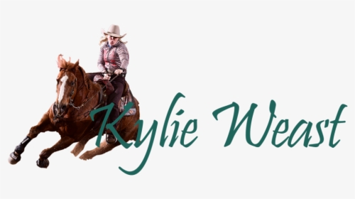 Kylie Logo Smaller3 - Equitation, HD Png Download, Transparent PNG