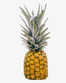 Deep Pineapple Quotes, HD Png Download, Transparent PNG